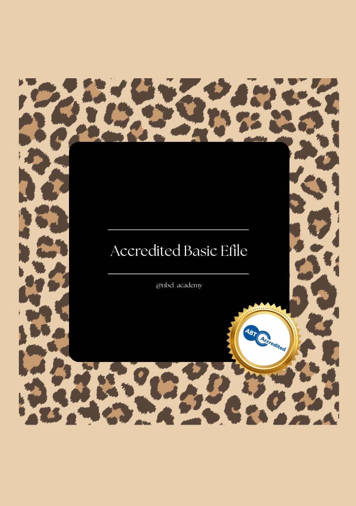 Zoom Online Basic Efile Course | ABT Accredited